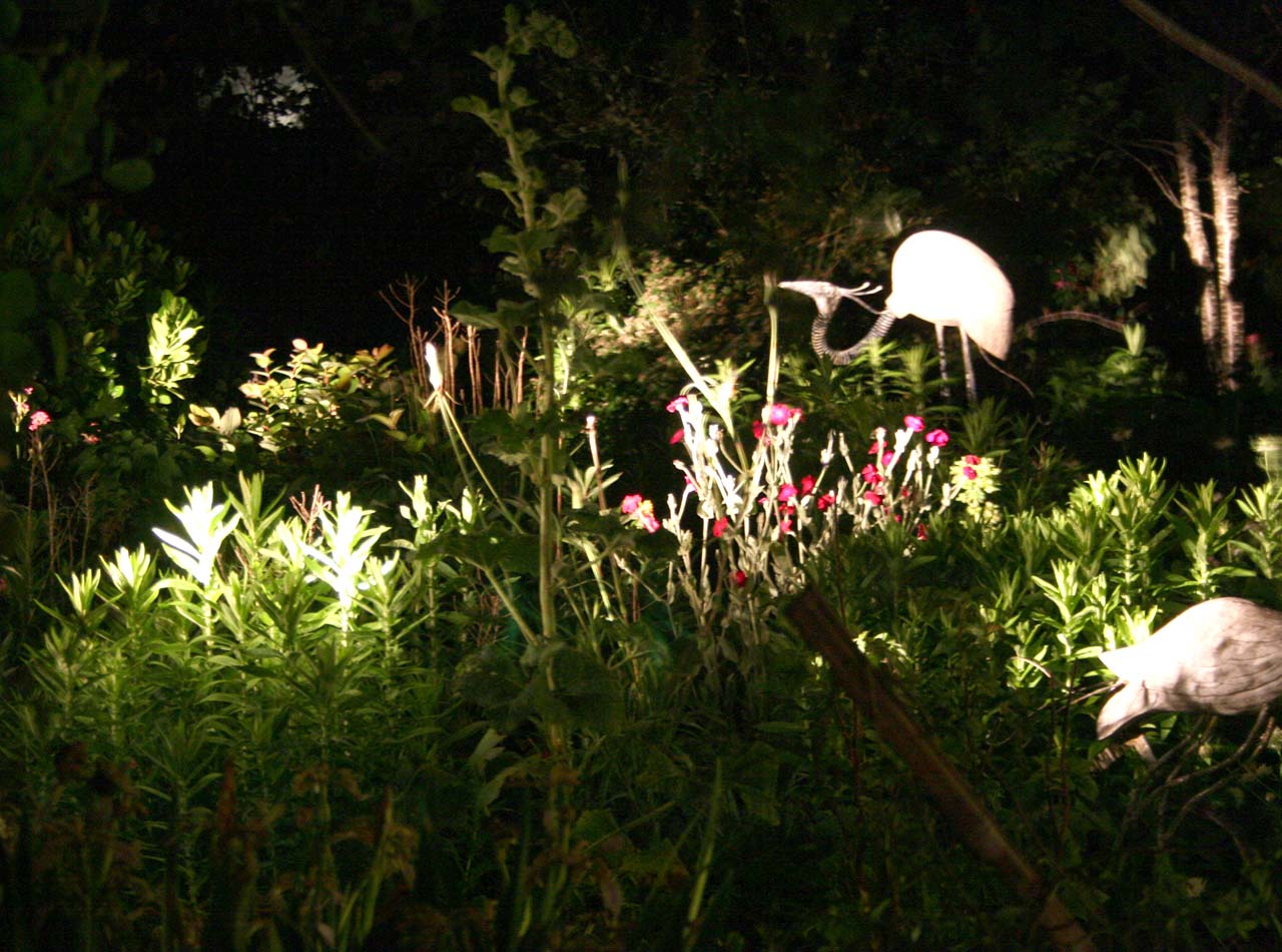 grues dans les jardins